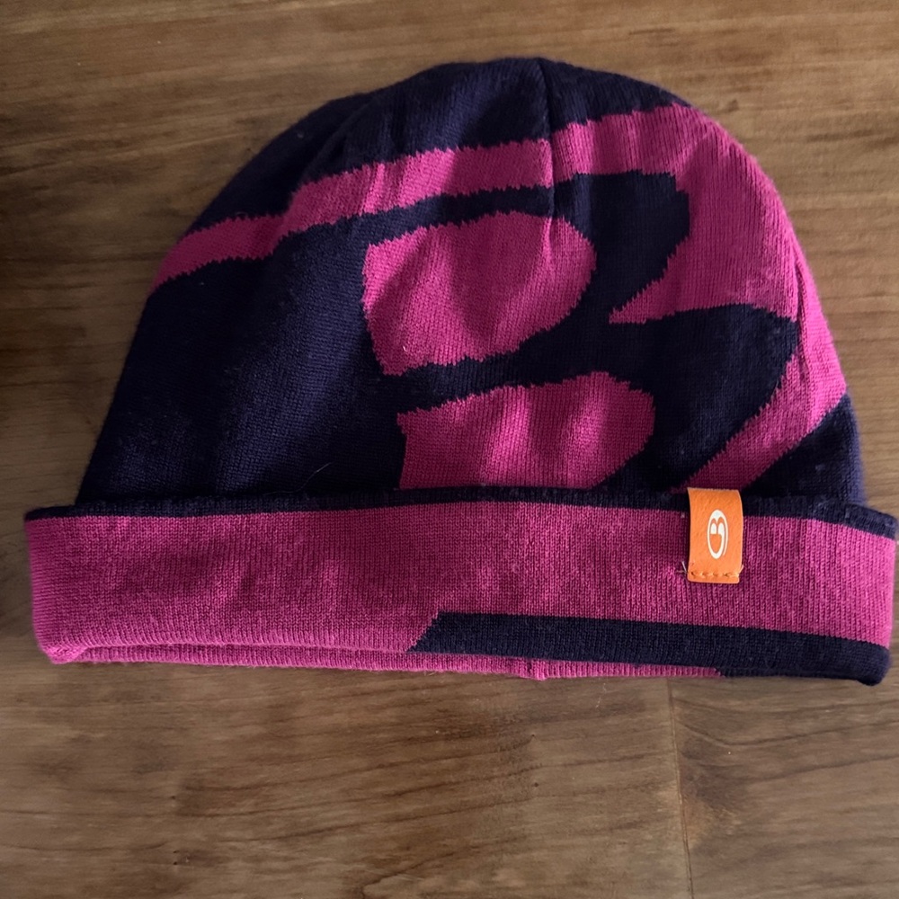 Icebreaker  Beanie in Purple and Pink